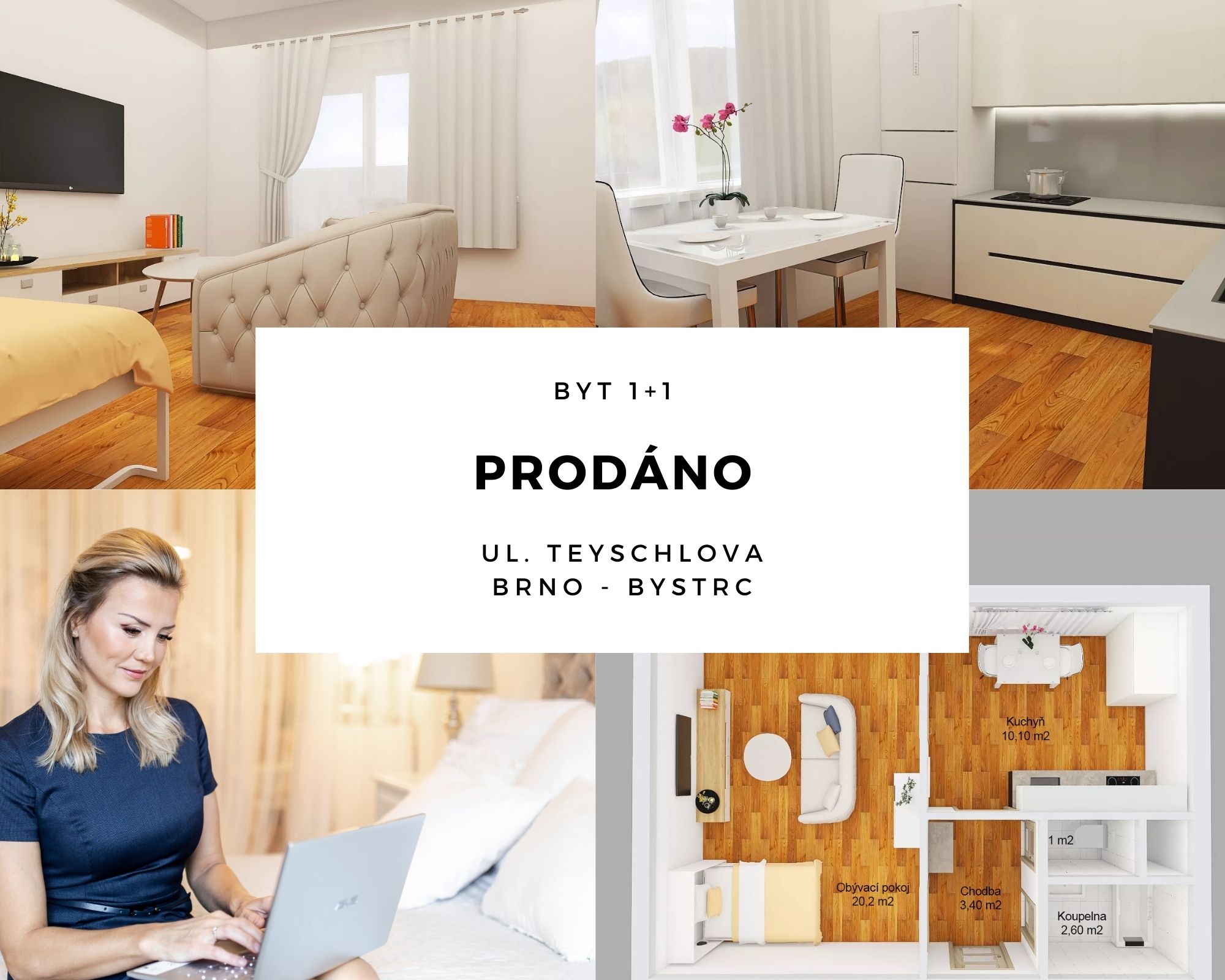 Staré Brno 3+kk, Rybářská PRODÁNO